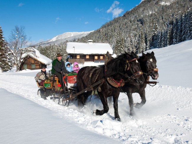 Pferdeschlittenfahrten in Kleinarl  © Wagrain Kleinarl Tourismus