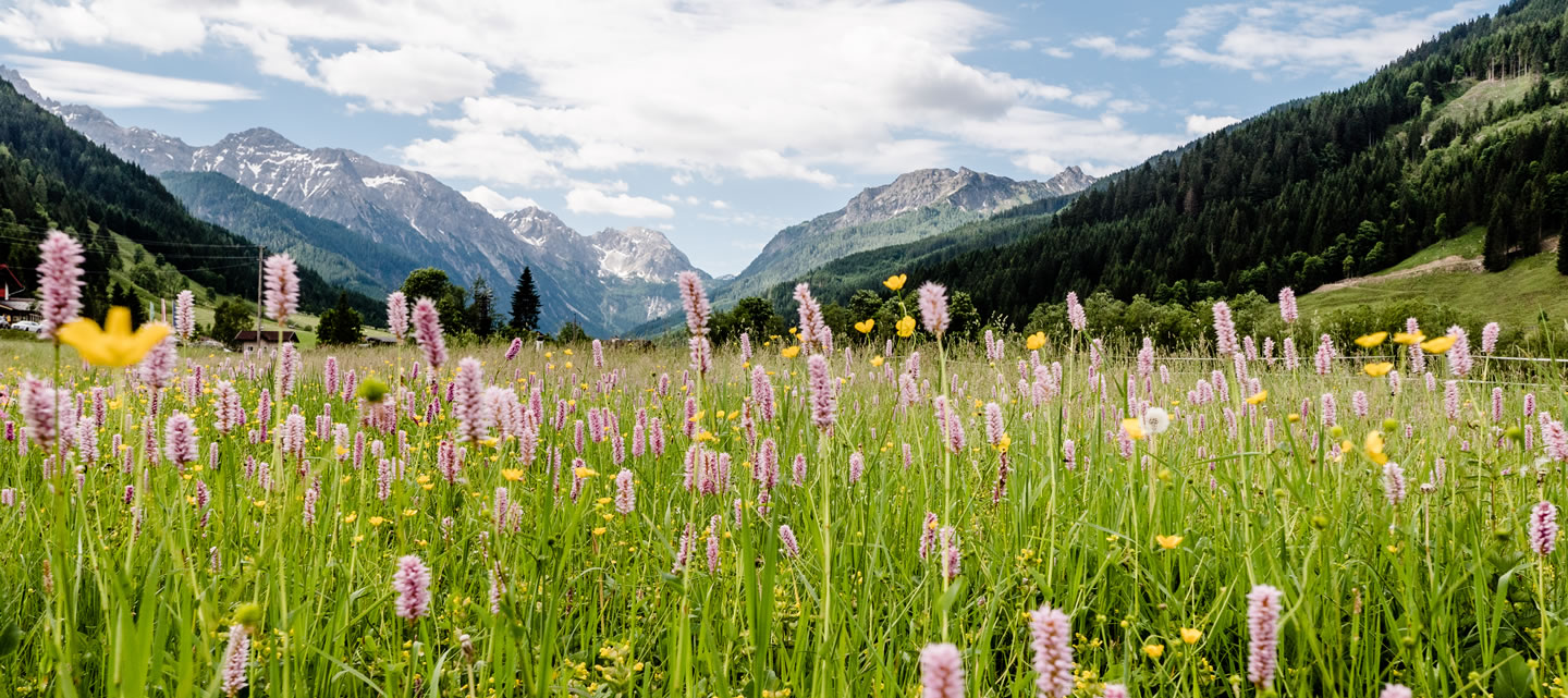 Appartements Talblick & Kathrin, Sommerurlaub in Wagrain Kleinarl © Wagrain-Kleinarl Tourismus